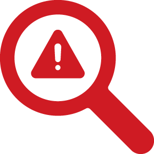 Fraud & Security Icon